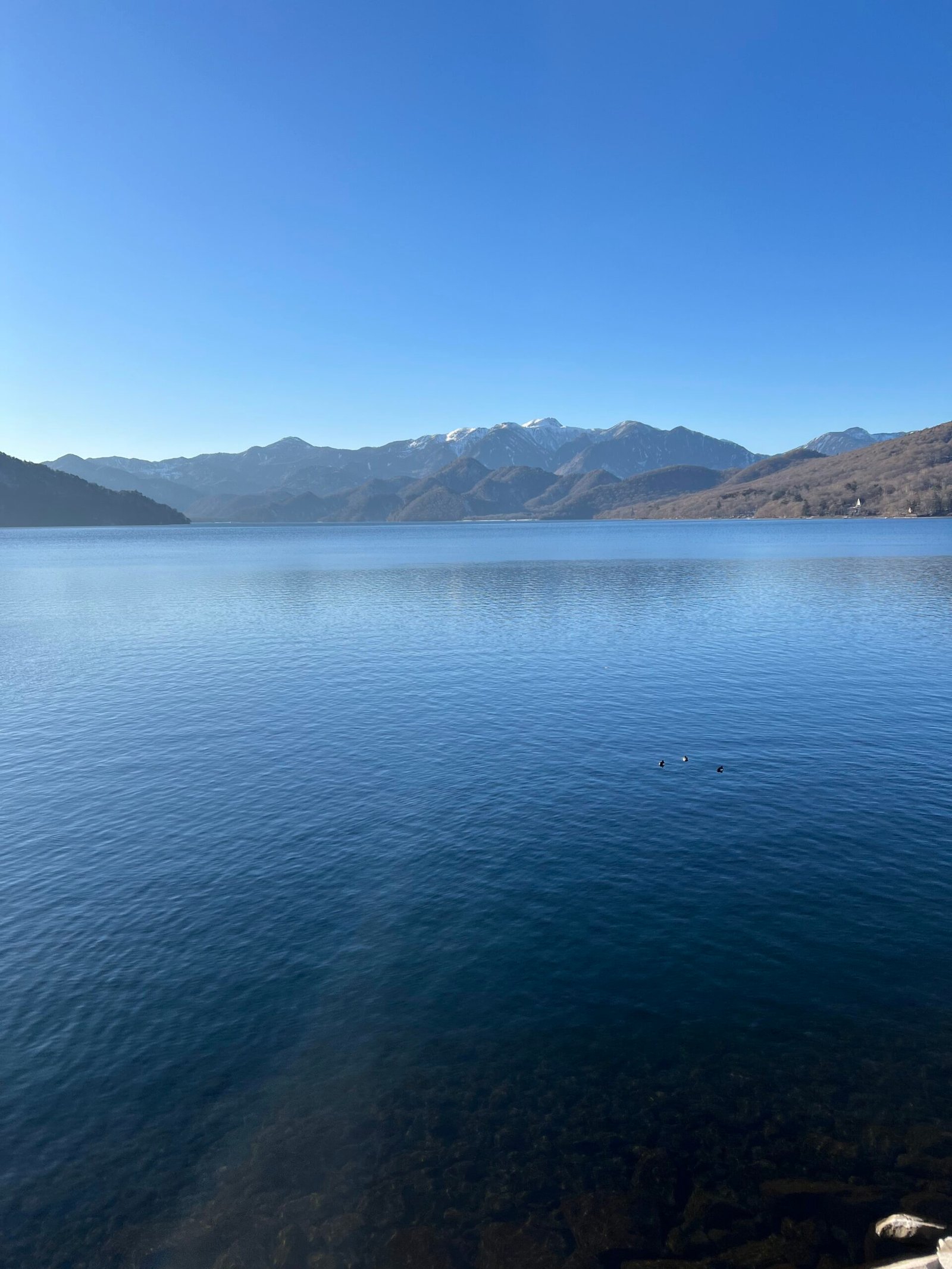 IMG_7615